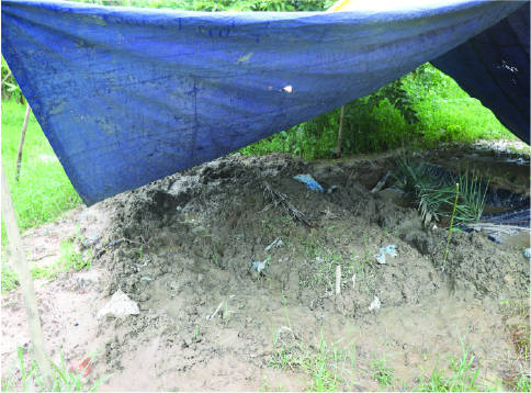 Image of মো: আহসান হাবিব